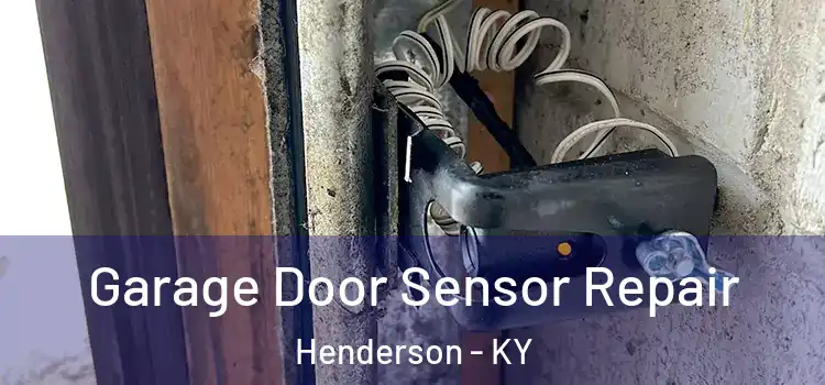 Garage Door Sensor Repair Henderson - KY